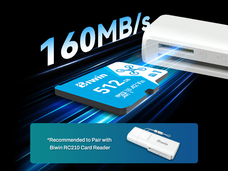 Caracteristicas tecnicas de MEMORIA BIWIN MICROSDXC MS160 128G