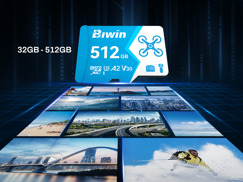 Caracteristicas tecnicas de MEMORIA BIWIN MICROSDXC MS160 128G